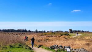 Culloden-Commemoration-010