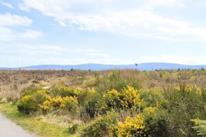 Culloden-Commemoration-015